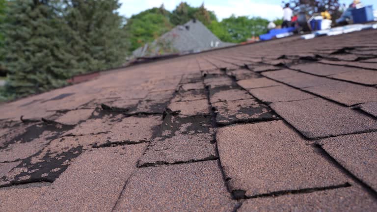 Best Commercial Roofing Services  in USA